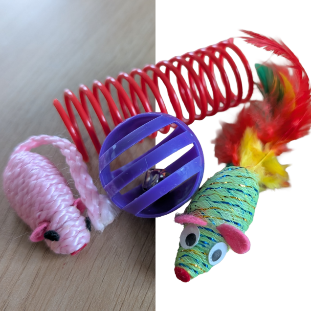 Blogitem Achtergrond verwijderen met Adobe Express