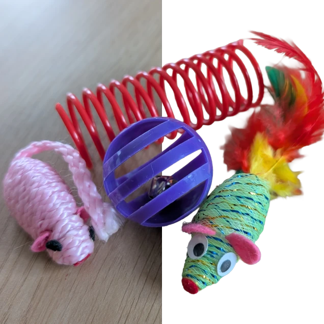 Blogitem Achtergrond verwijderen met Adobe Express
